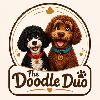 The Doodle Duo Studios