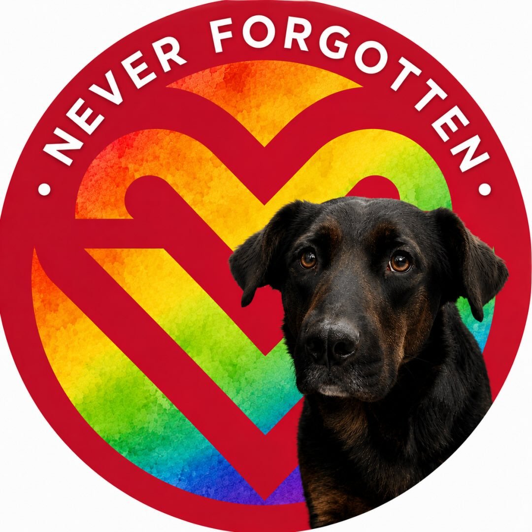 Heart of Infinity | Arizona (501c3) Dog Rescue🐾