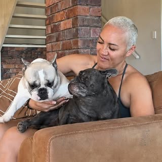 Gucci & Honey | Rescue Frenchies 🐾