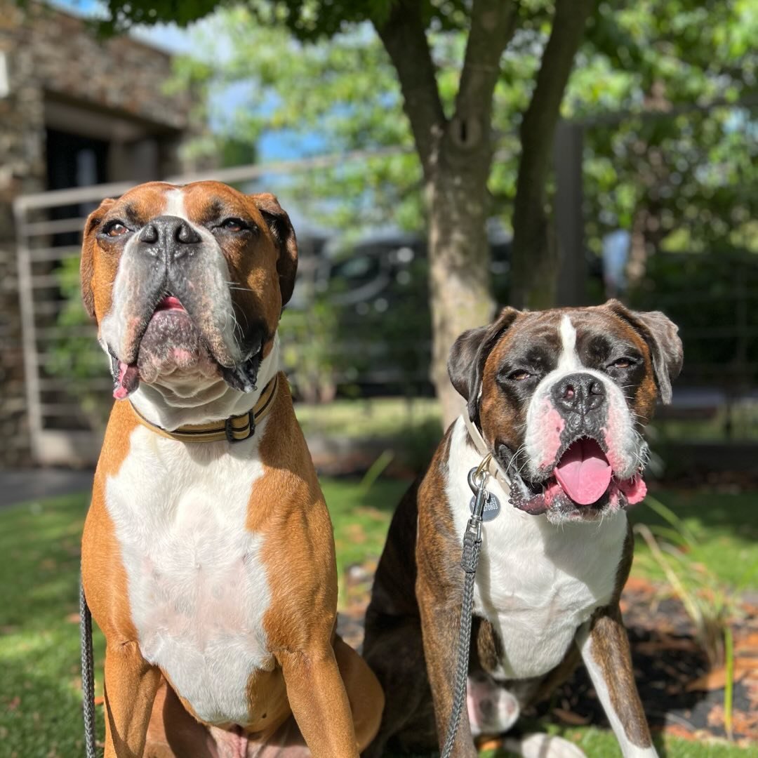 Aaron & Archie