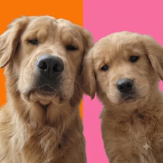 Romeo and Roux