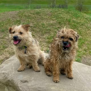 🩷Ollie & Rosie🩷