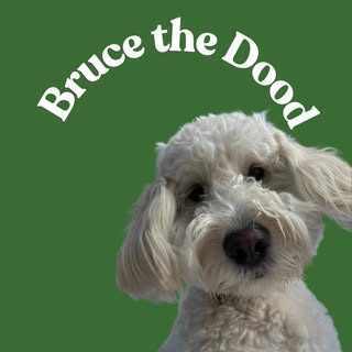 bruce_the_dood_