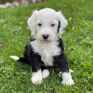 George W