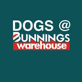 Dogs At Bunnings