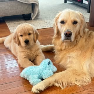 Penny & Remy
