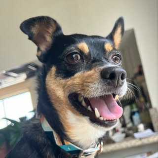 Rupert Fiasco