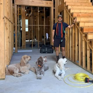 Andy Monsalve | Dog Training