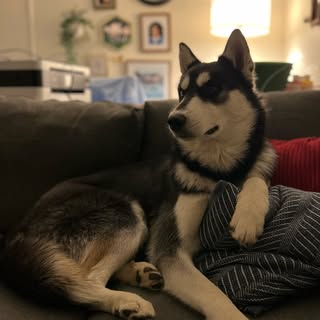 Astro ✨