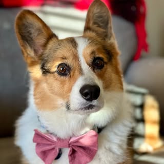 Sir Finley