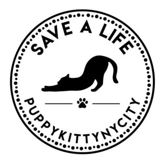 Puppy Kitty NYCity