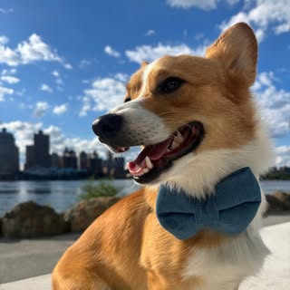 Bowie