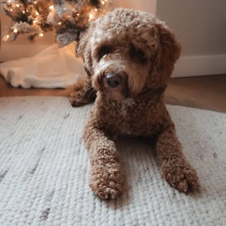 COOPER