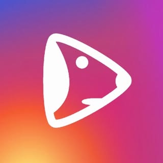 VIRAL DOG REELS