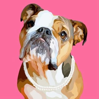 Dallas the Bulldog in Seattle