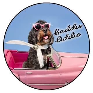 Hi I’m Addie!