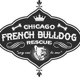 Chicago French Bulldog Rescue
