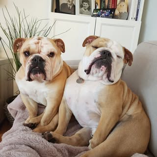 Charlotte and Georgie