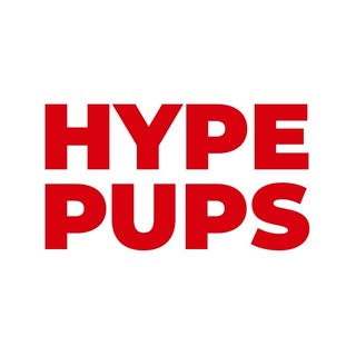HYPE PUPS