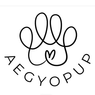 Aegyo Pup 🤍