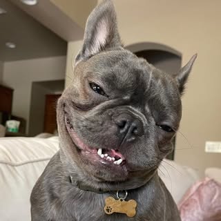 Yoda