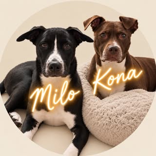 Kona + Milo