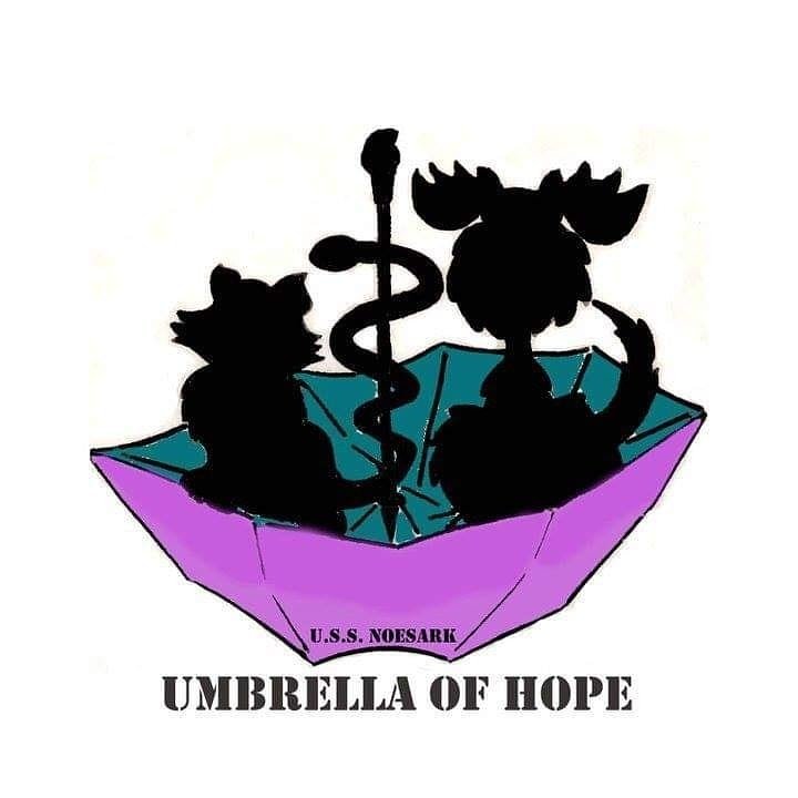 Umbrella of Hope ☔️✨