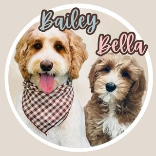 Bailey 🐶 & Bella 🧸| Uncle & Niece Duo