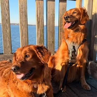 The Tails of Tucker & Tio