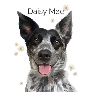 🌼Miss Daisy Mae🌼