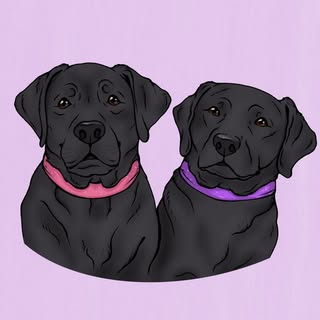 Harlow and Daisy