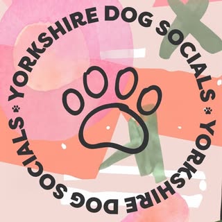 Yorkshire Dog Socials