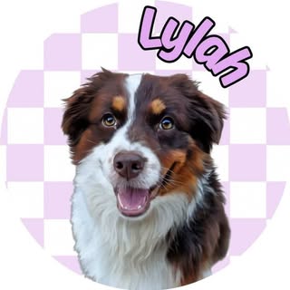 Lylah | Aka Sheep