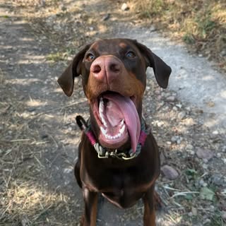 TrailsWithKyra