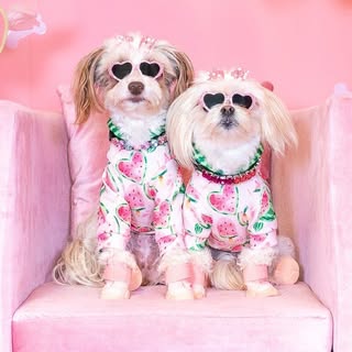 🩷 Emi & JoJo 💜