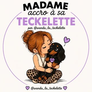 Un teckel nommé Wanda 🐶