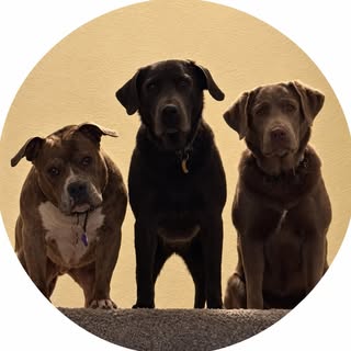 Sara ft. Gemma & Stella