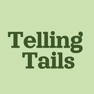 Telling Tails | Sustainable Dog Accessories