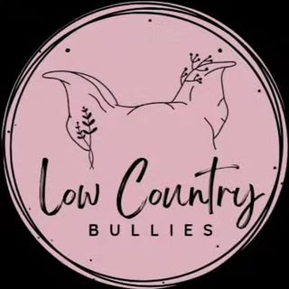 @lowcountrybulliesco