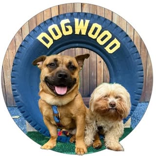 Dogwood Play Park