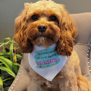 the_be_kind_bandana