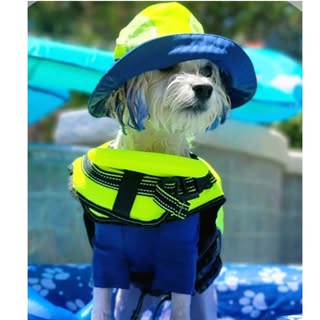 Zeke