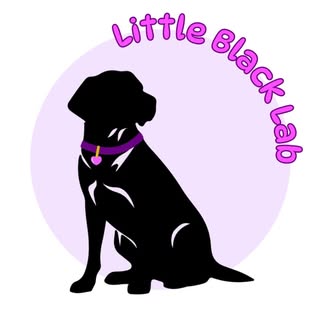 @littleblacklabshop