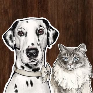 The Dalmatian & Cat Mum Claire | UK Dog & Cat Lifestyle