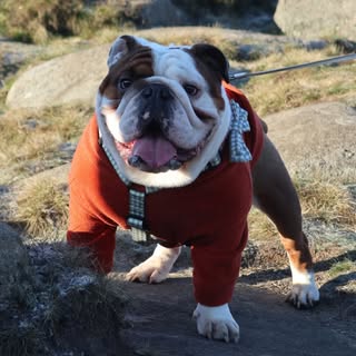 Walter