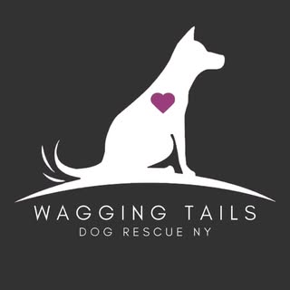 Wagging Tails Dog Rescue NY