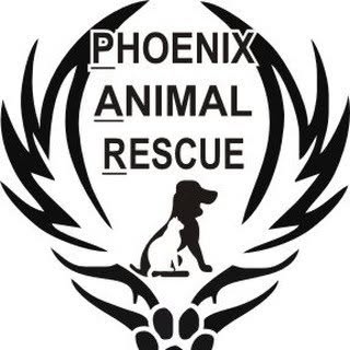 Phoenix Animal Rescue