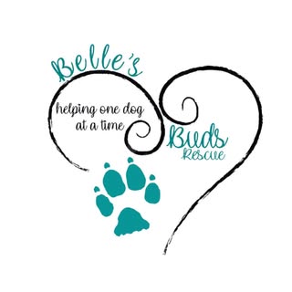 Belles Buds Rescue