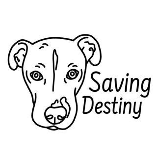 Saving Destiny