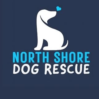 North Shore Dog Rescue
